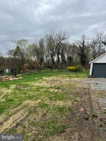 a view of a backyard with large trees