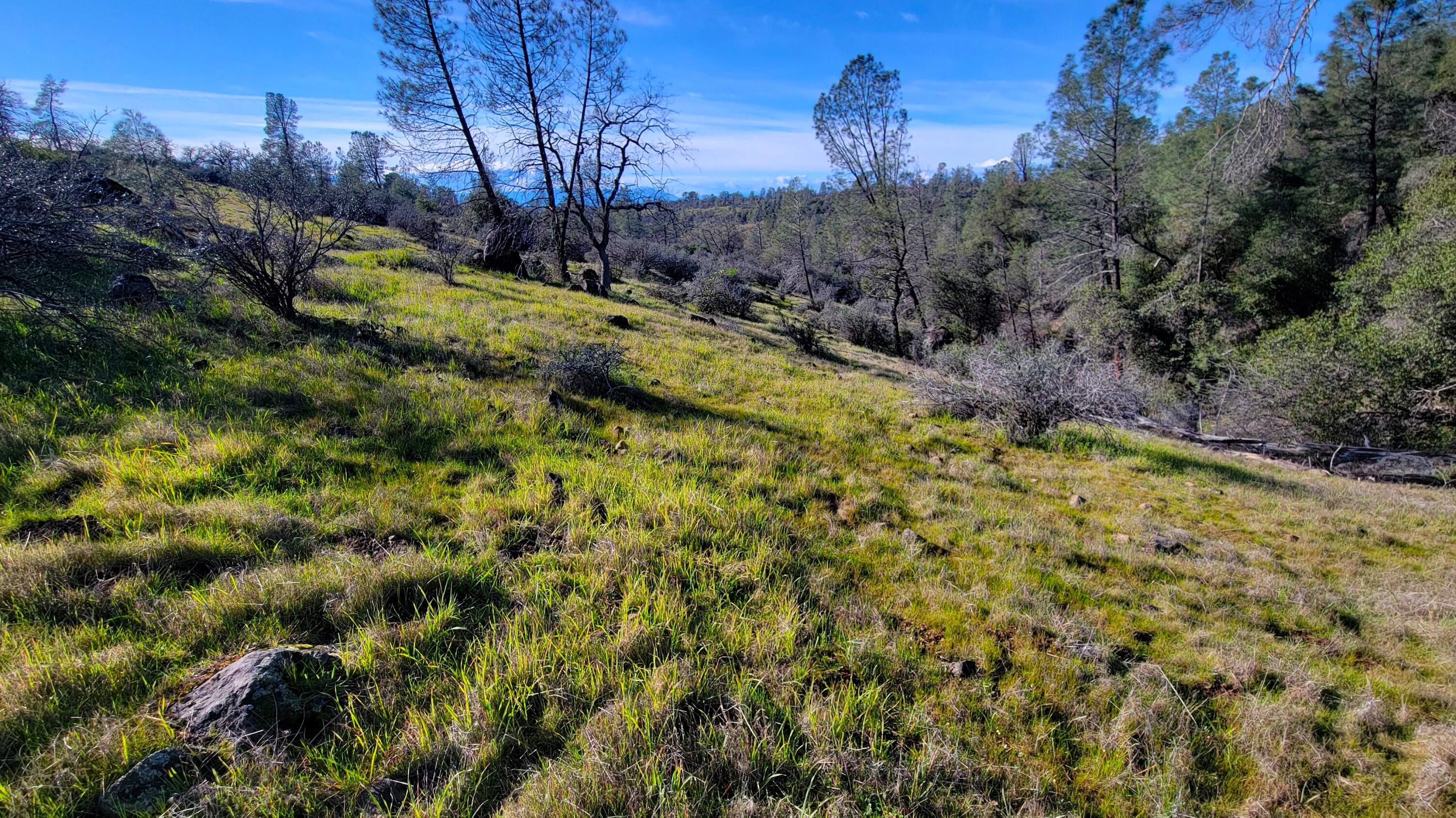 0 Rancheria Crk Road Shingletown, CA 96088 - Photo 18 of 18 20260212_150048