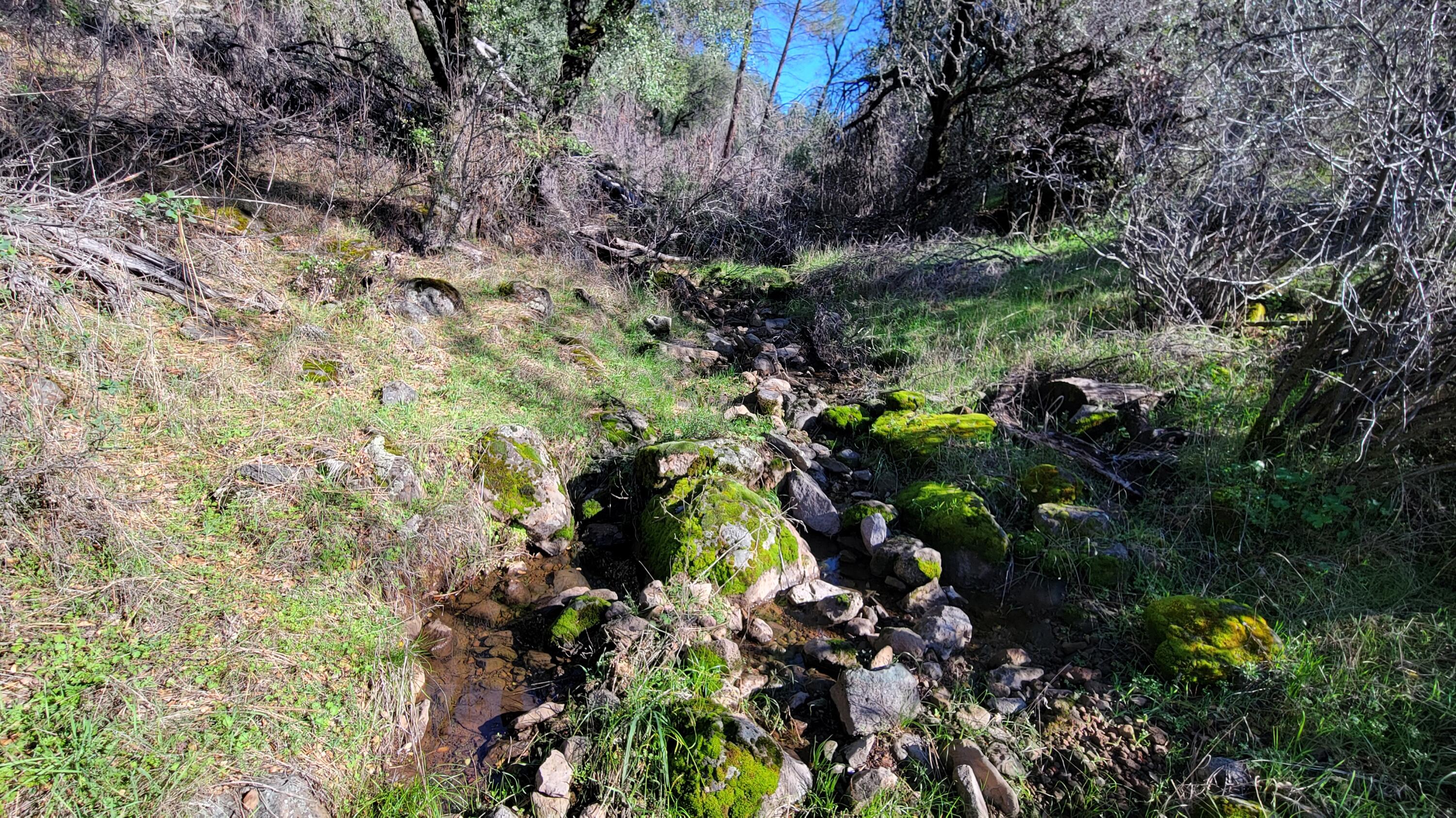 0 Rancheria Crk Road Shingletown, CA 96088 - Photo 4 of 18 20260212_143236
