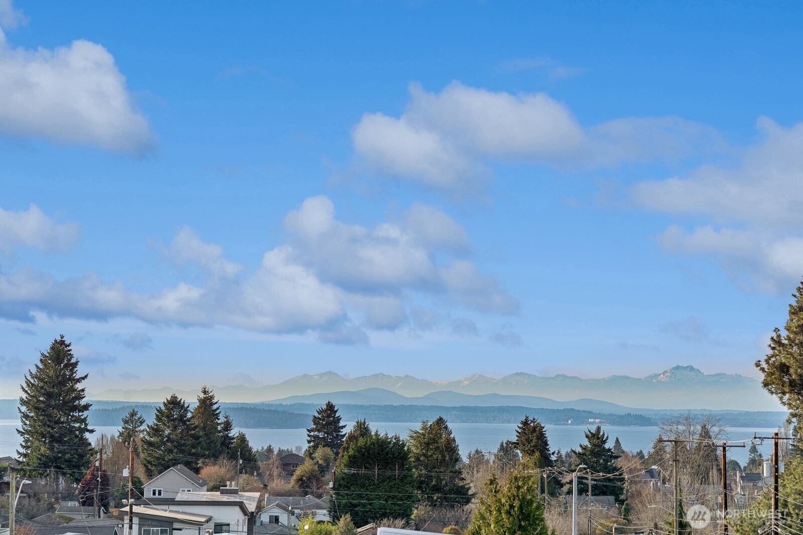 6307 34th Avenue Southwest Seattle, WA 98126 - Photo 19 of 27