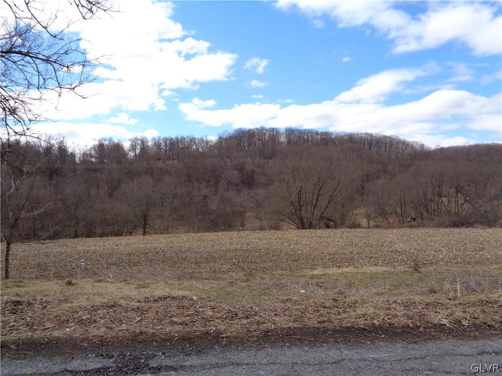 Knauss Road Nazareth, PA 18064 - Photo 2 of 7 a view of dirt field with trees