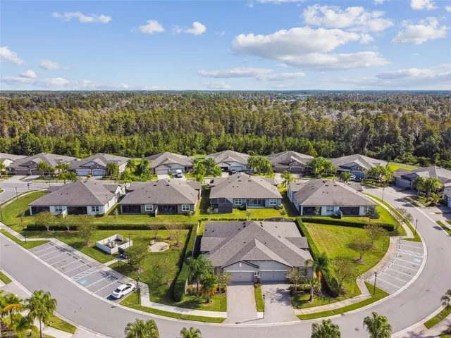 $413,200 | 19322 Hawk Valley Drive, Tampa, FL 33647