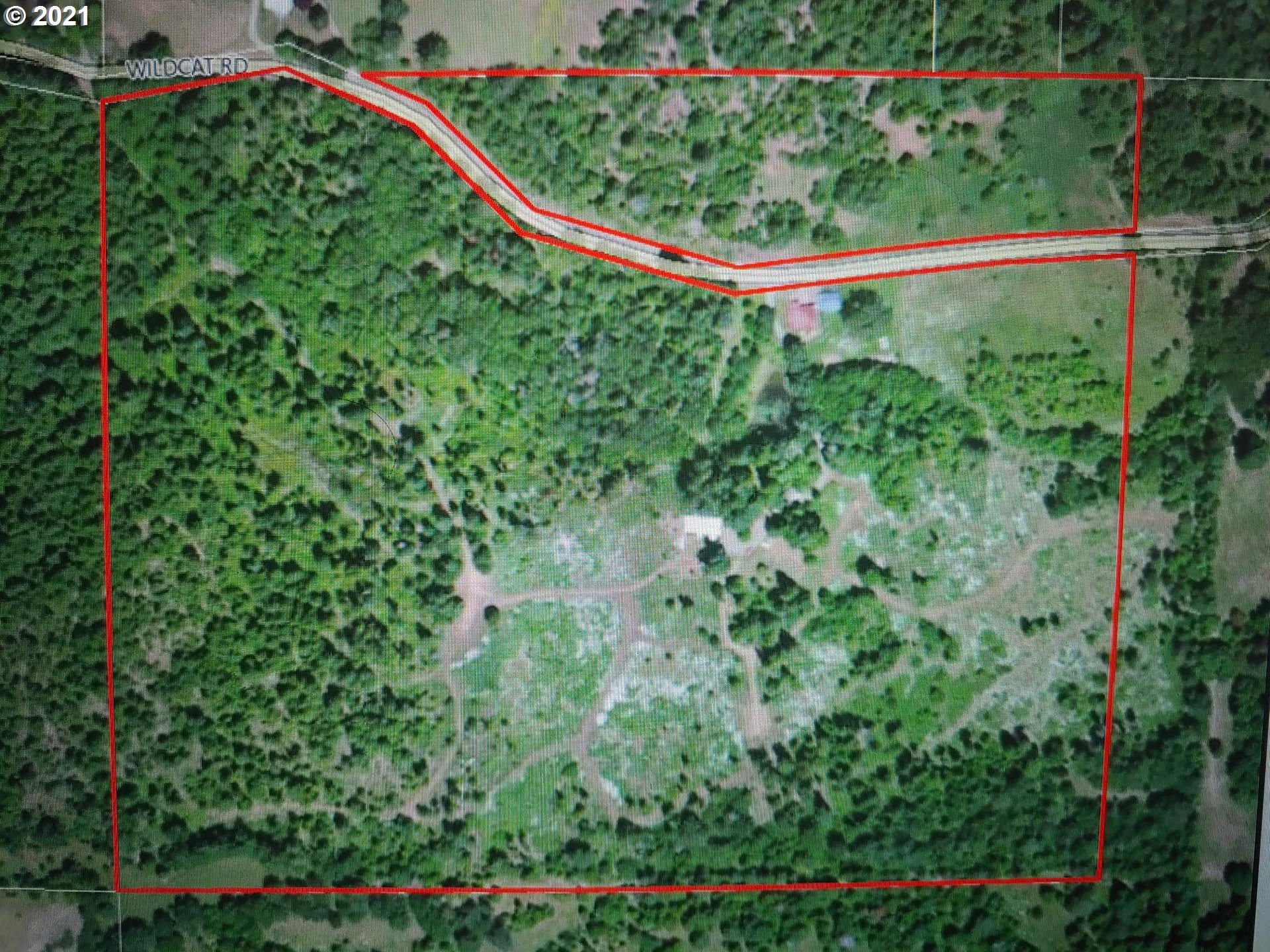 294 Wildcat Road Camas Valley, OR 97416 - Photo 1 of 18