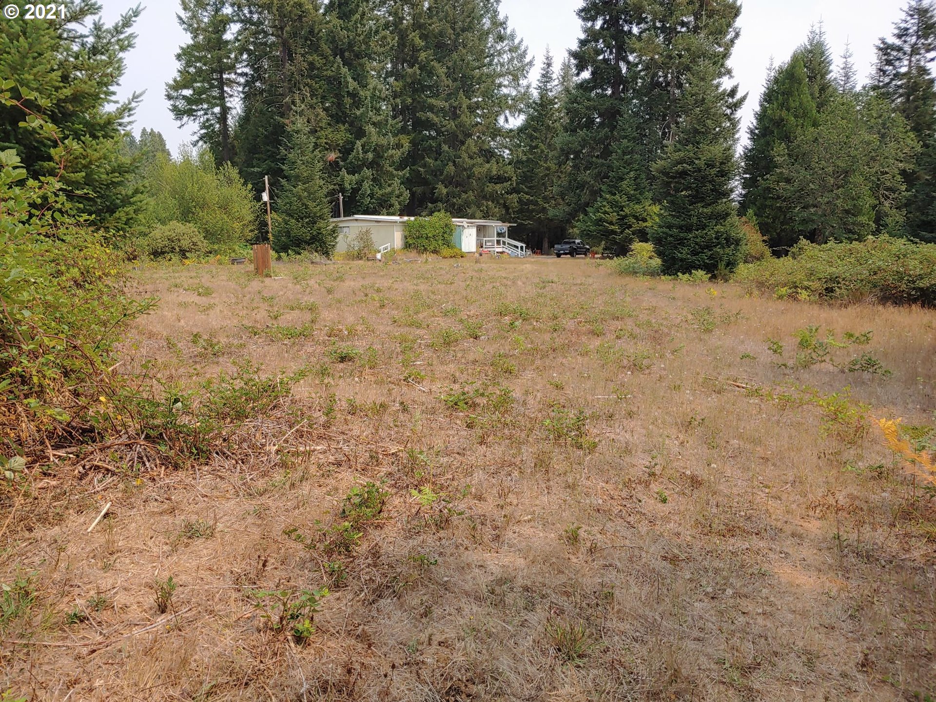 294 Wildcat Road Camas Valley, OR 97416 - Photo 2 of 18