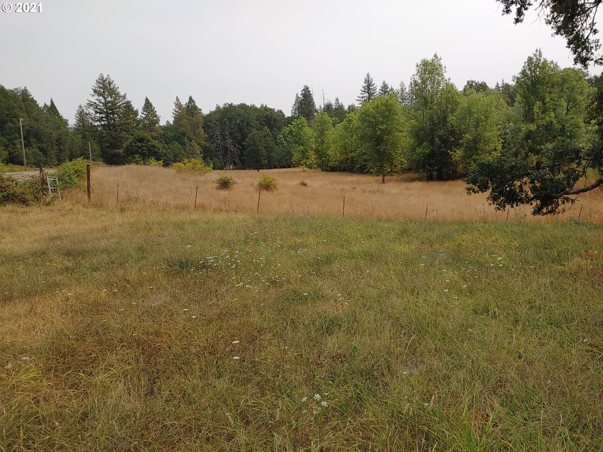 294 Wildcat Road Camas Valley, OR 97416 - Photo 14 of 18
