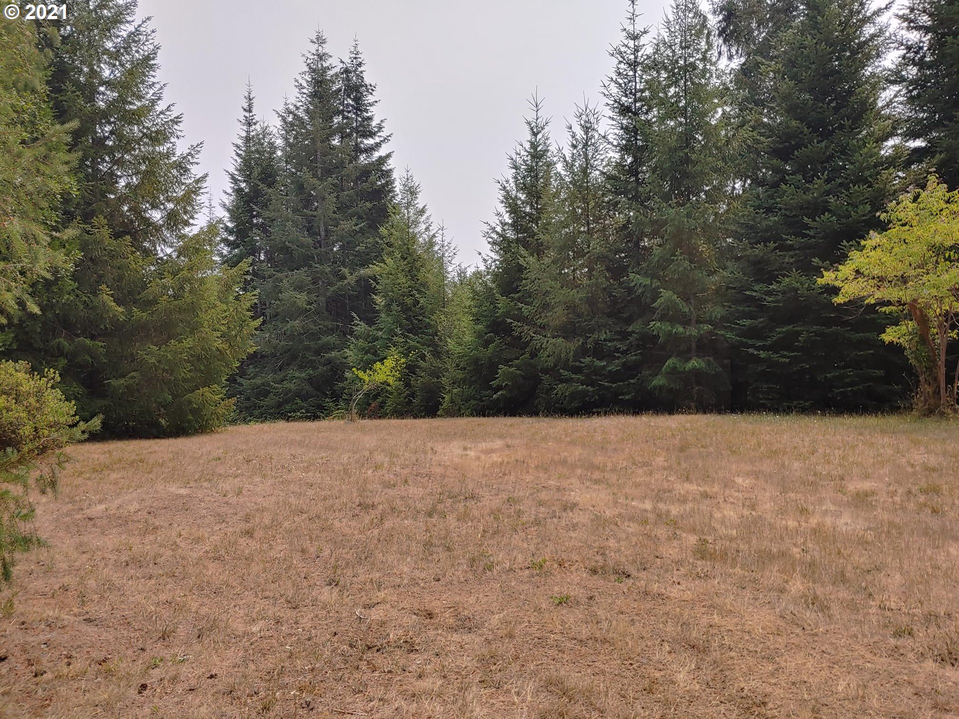 294 Wildcat Road Camas Valley, OR 97416 - Photo 7 of 18
