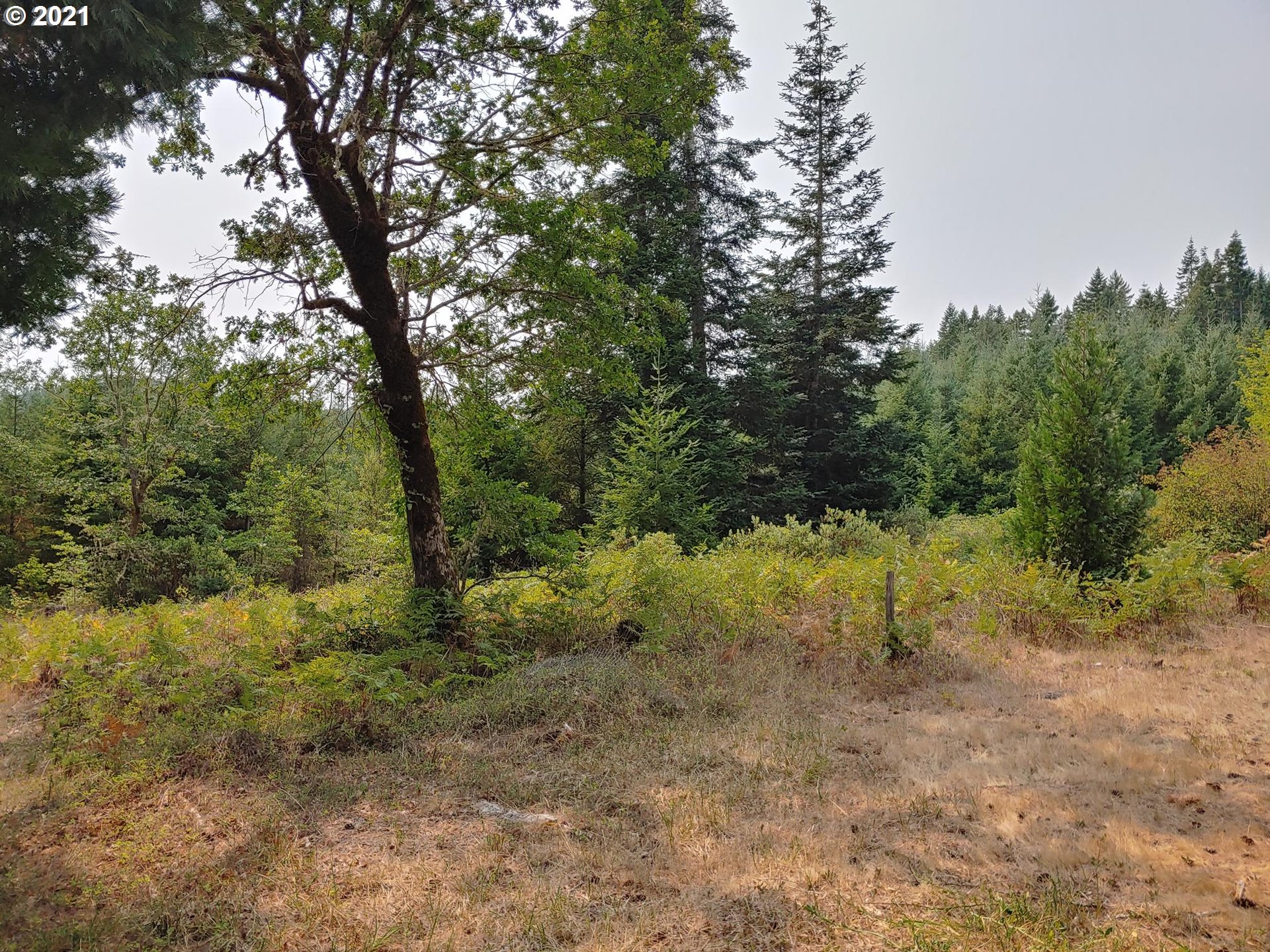 294 Wildcat Road Camas Valley, OR 97416 - Photo 8 of 18
