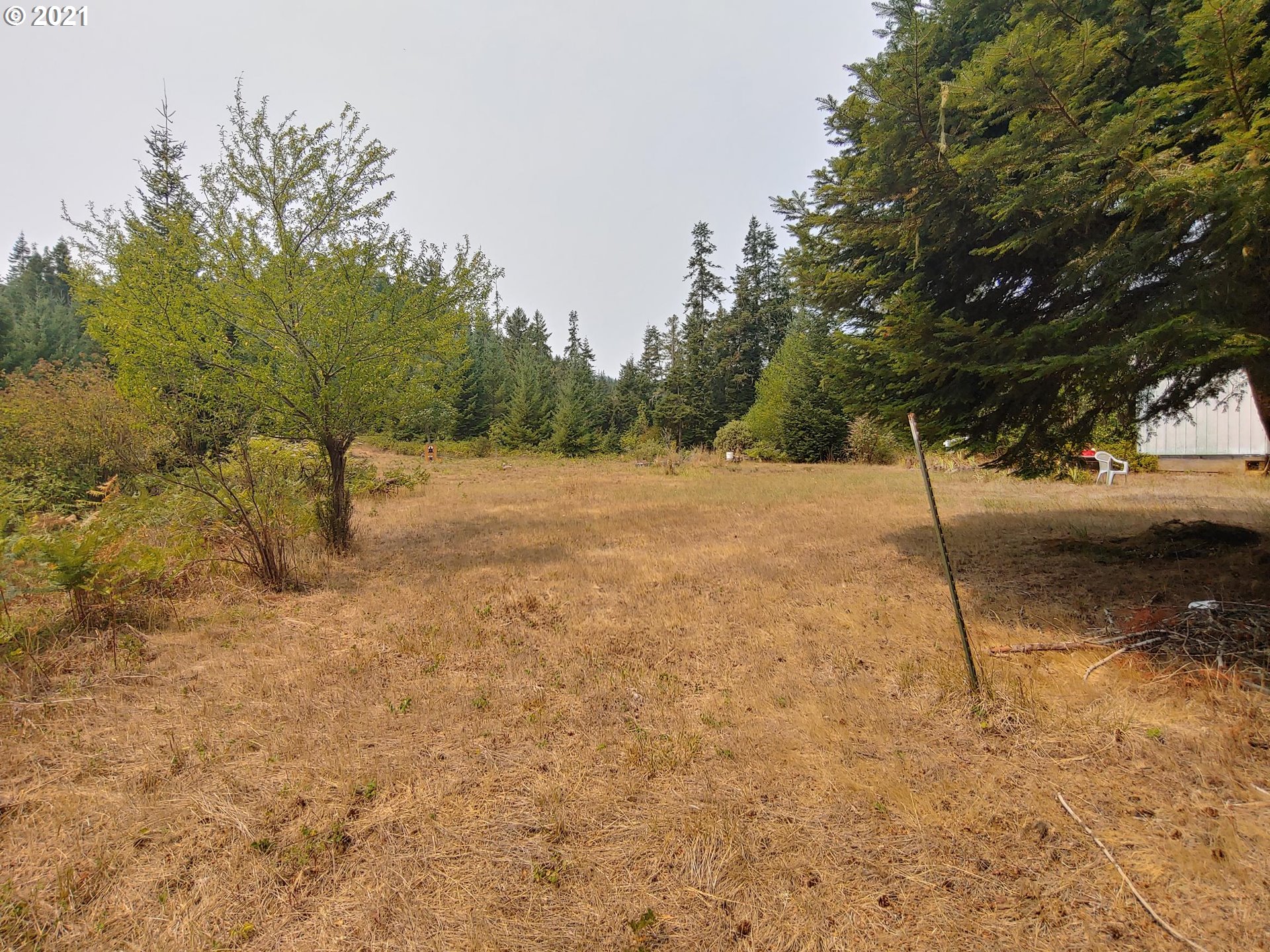 294 Wildcat Road Camas Valley, OR 97416 - Photo 10 of 18