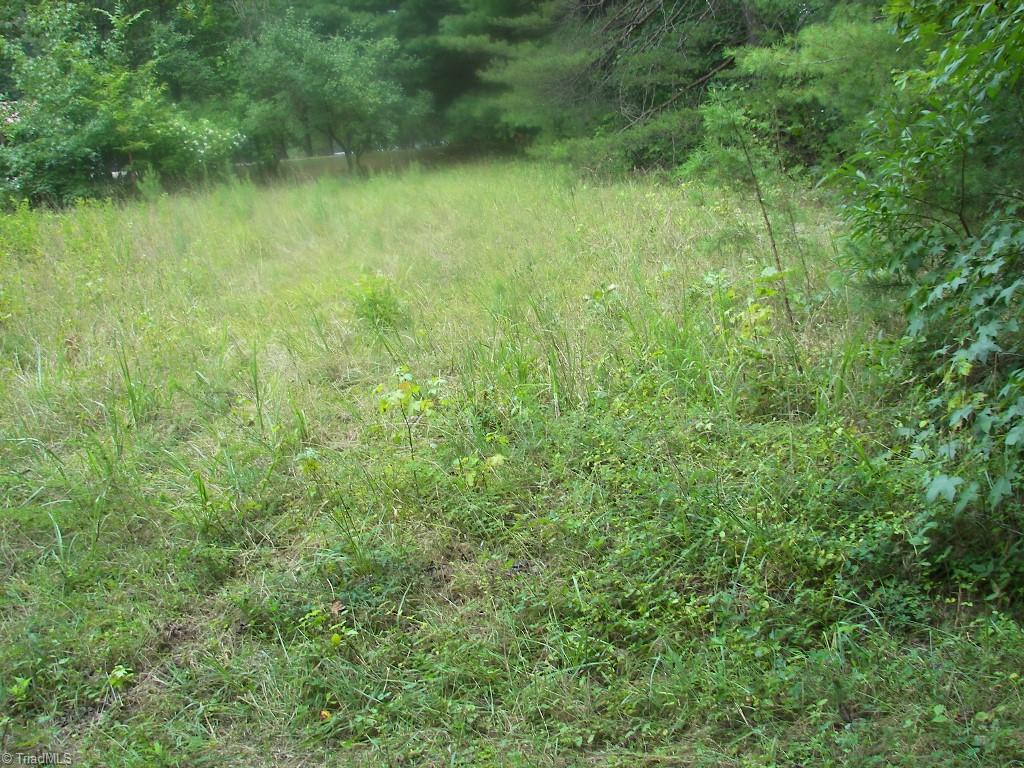 Xx Xx Salem Chapel Road Walnut Cove, NC 27052 - Photo 1 of 5 Gallery Image 1