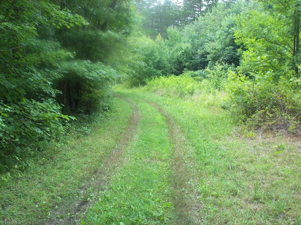 Xx Xx Salem Chapel Road Walnut Cove, NC 27052 - Photo 2 of 5 Gallery Image 2