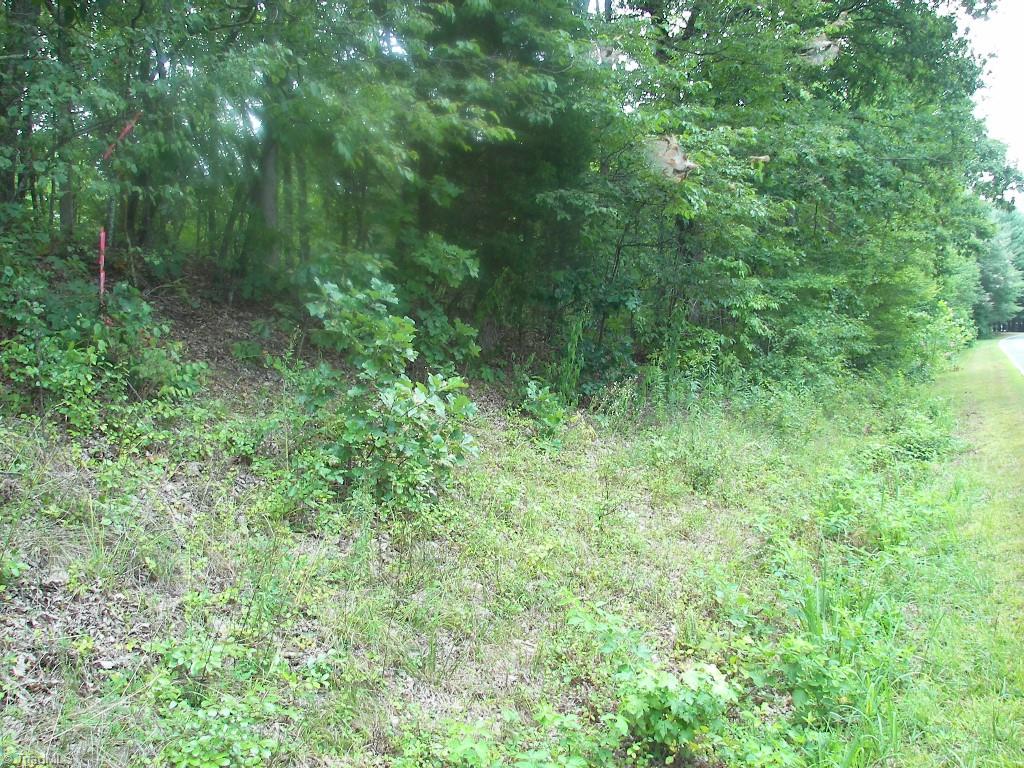 Xx Xx Salem Chapel Road Walnut Cove, NC 27052 - Photo 3 of 5 Gallery Image 3