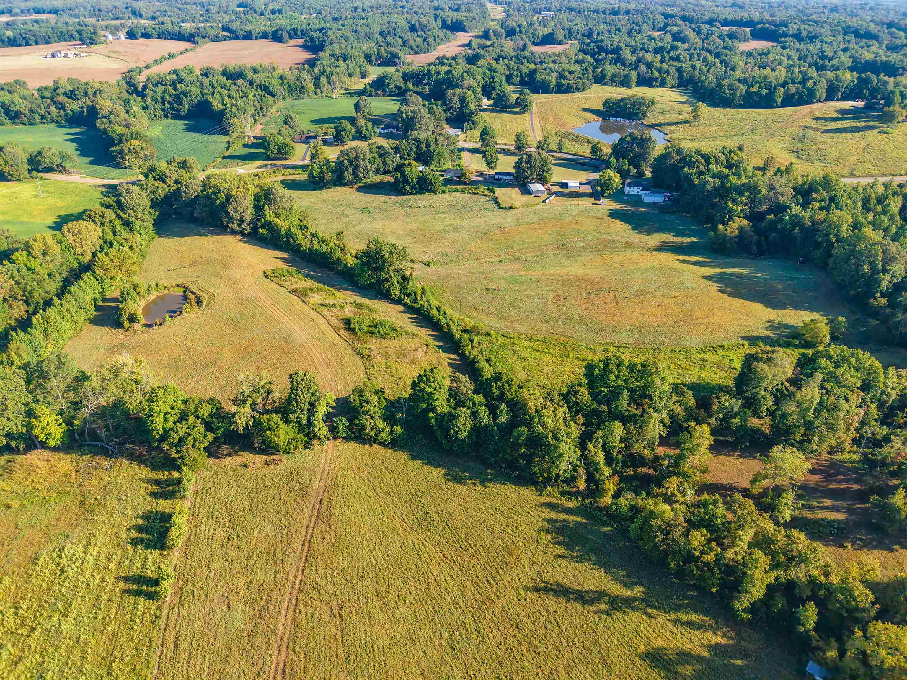 0 Bluebird Hill Road Ripley, TN 38063 - Photo 1 of 17 Aerial view