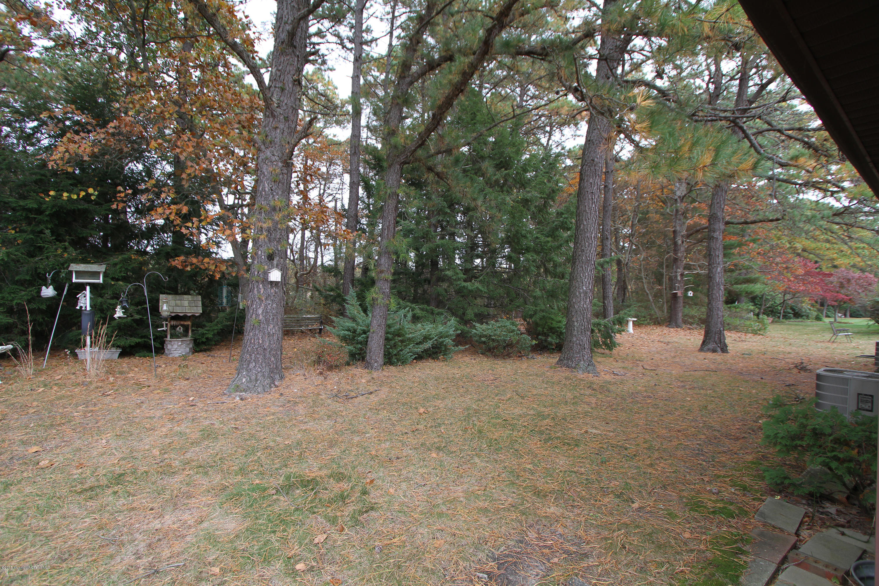 139 A Sunset Road, Unit A Whiting, NJ 08759 - Photo 19 of 19 Back Yard