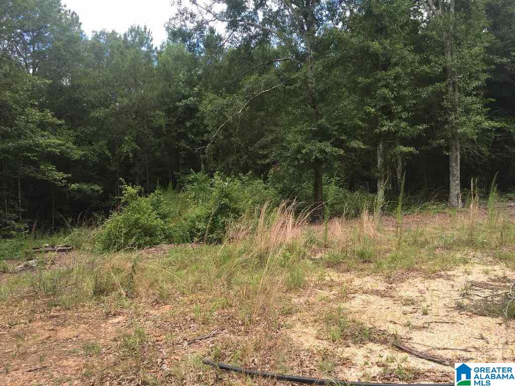 113 County Road, Unit 2 Lineville, AL 36266 - Photo 2 of 4
