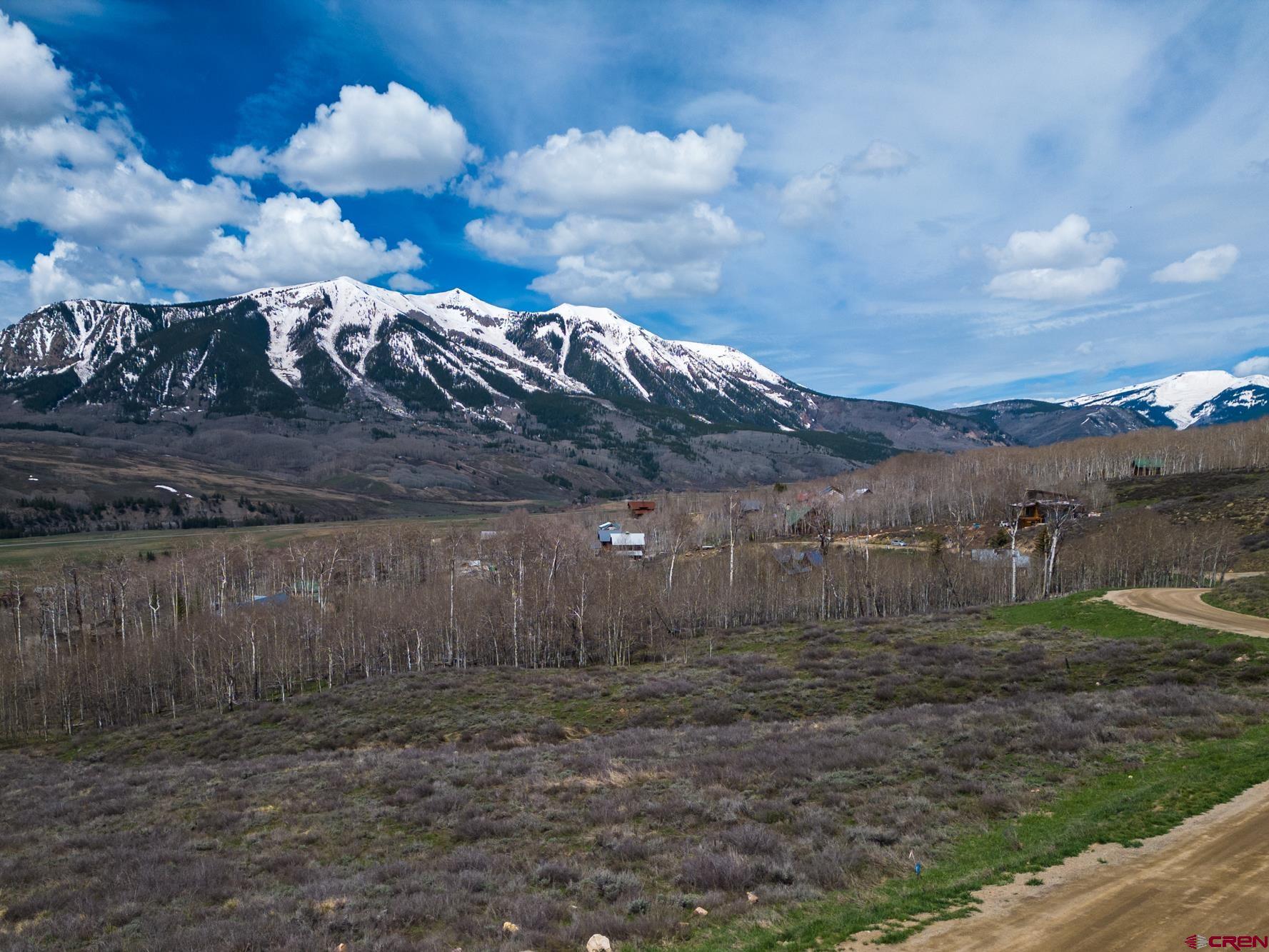208 Neville Way Crested Butte, CO 81224 - Photo 8 of 12 a view of a backyard