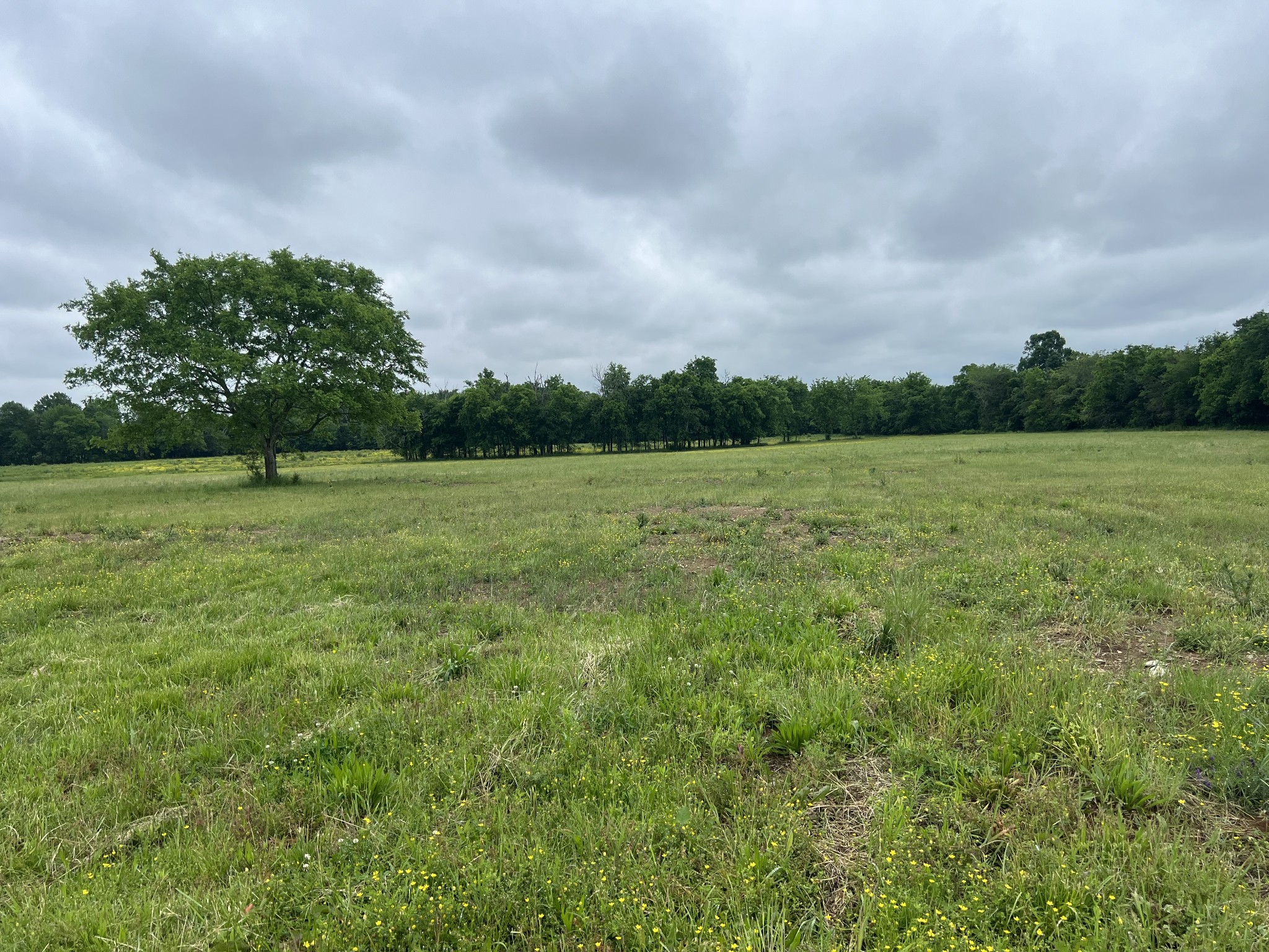 2230 Unionville Deason Road Bell Buckle, TN 37020 - Photo 2 of 7 a view of a field with an trees in the background