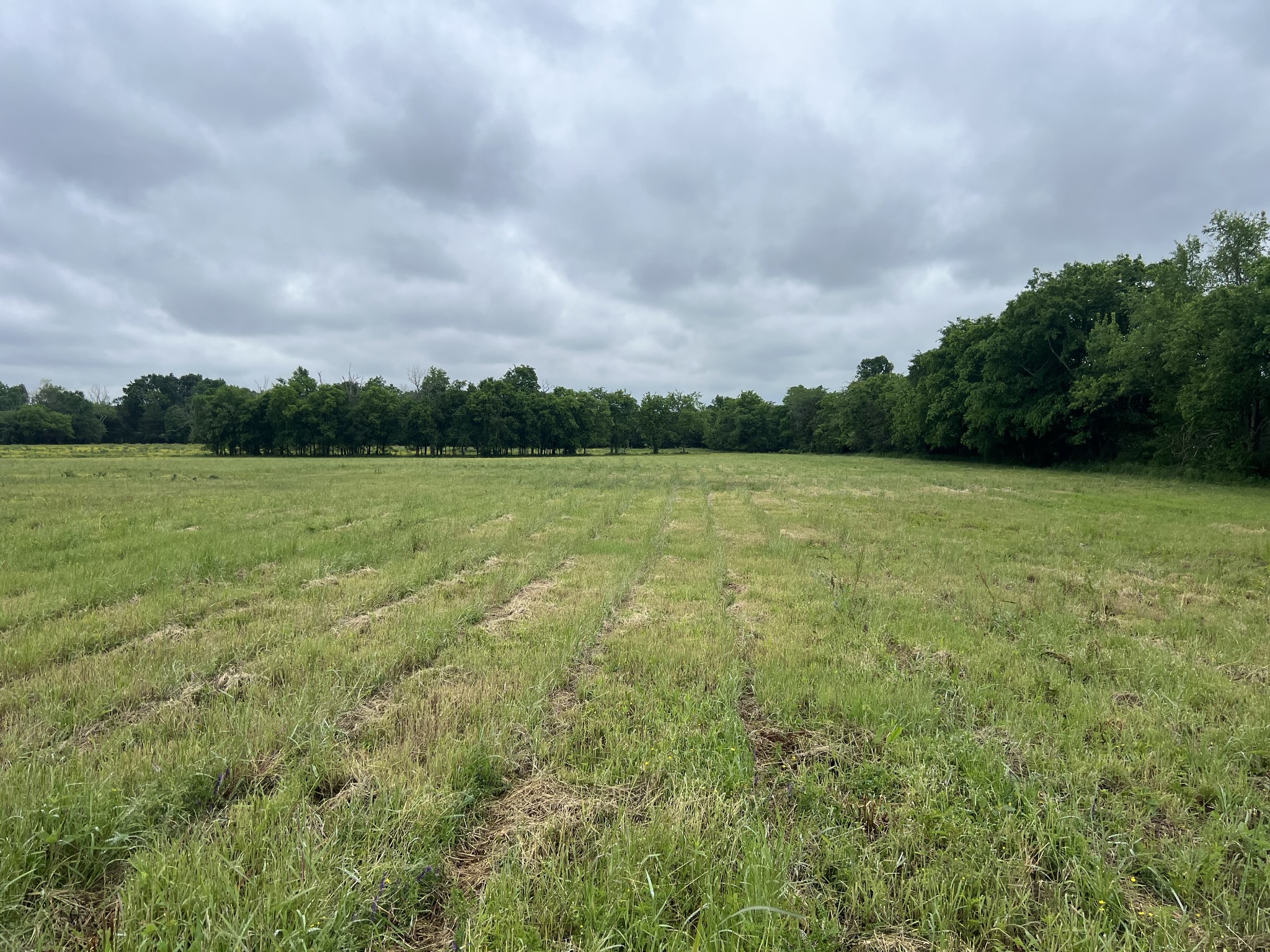2230 Unionville Deason Road Bell Buckle, TN 37020 - Photo 3 of 7 a view of outdoor space and trees