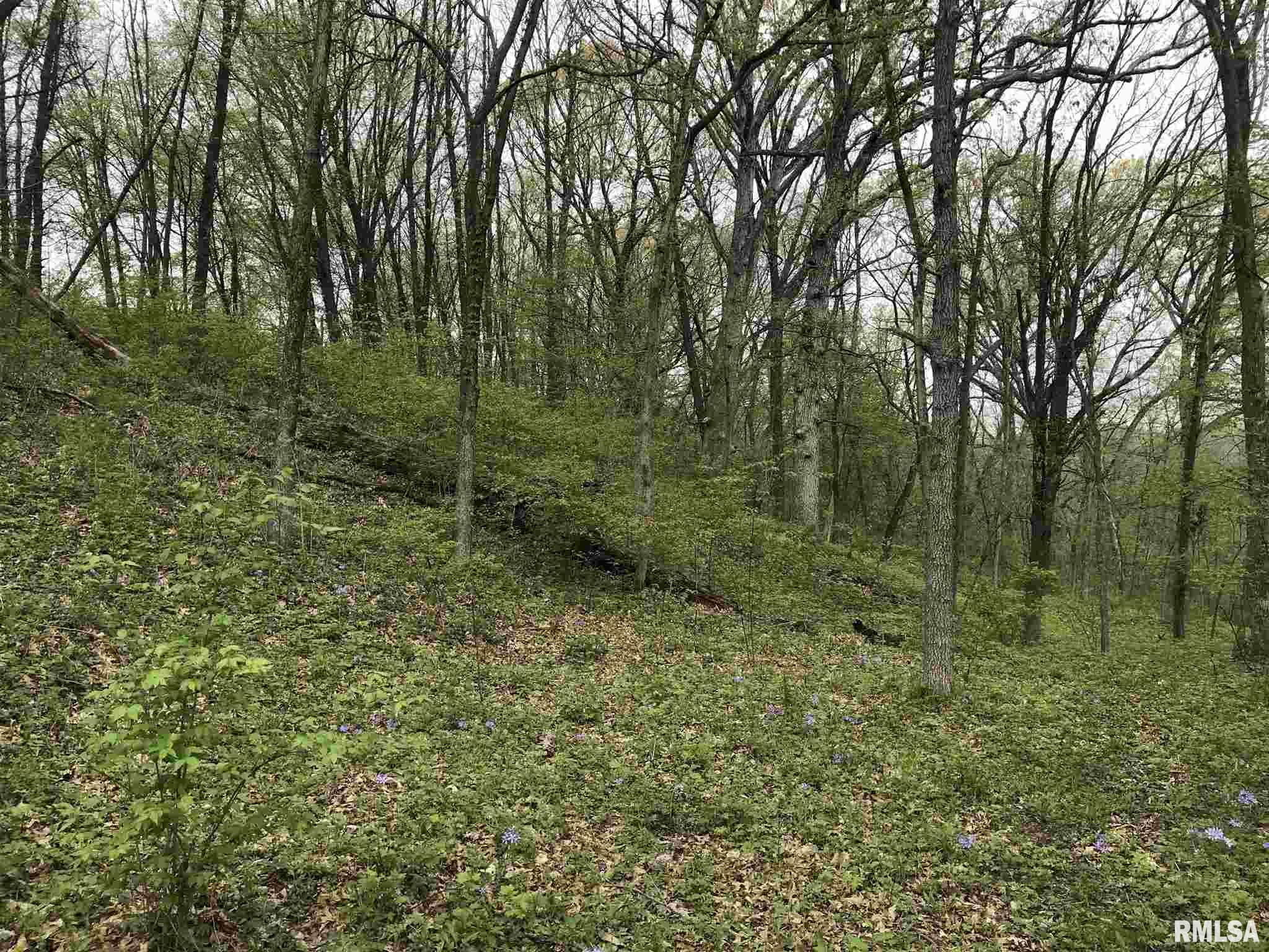 0 North Savage Road Brimfield, IL 61517 - Photo 5 of 17 Gallery Image 5