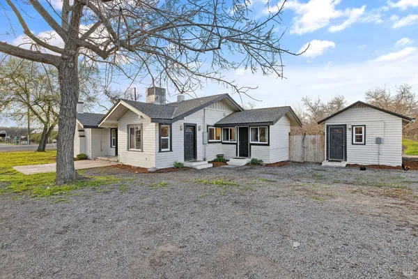 a view of a yard with a house and a large tree