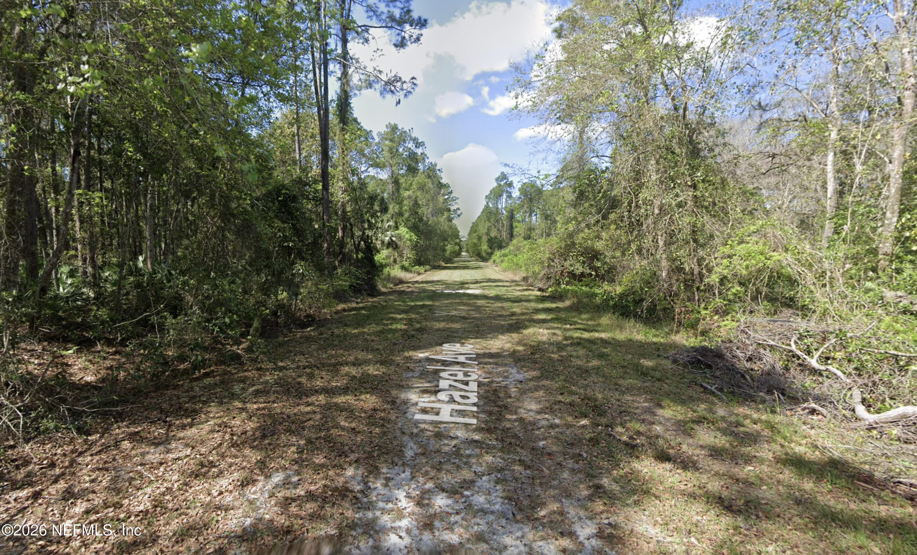 212 Hazel Avenue Georgetown, FL 32139 - Photo 2 of 3 a view of outdoor space with trees