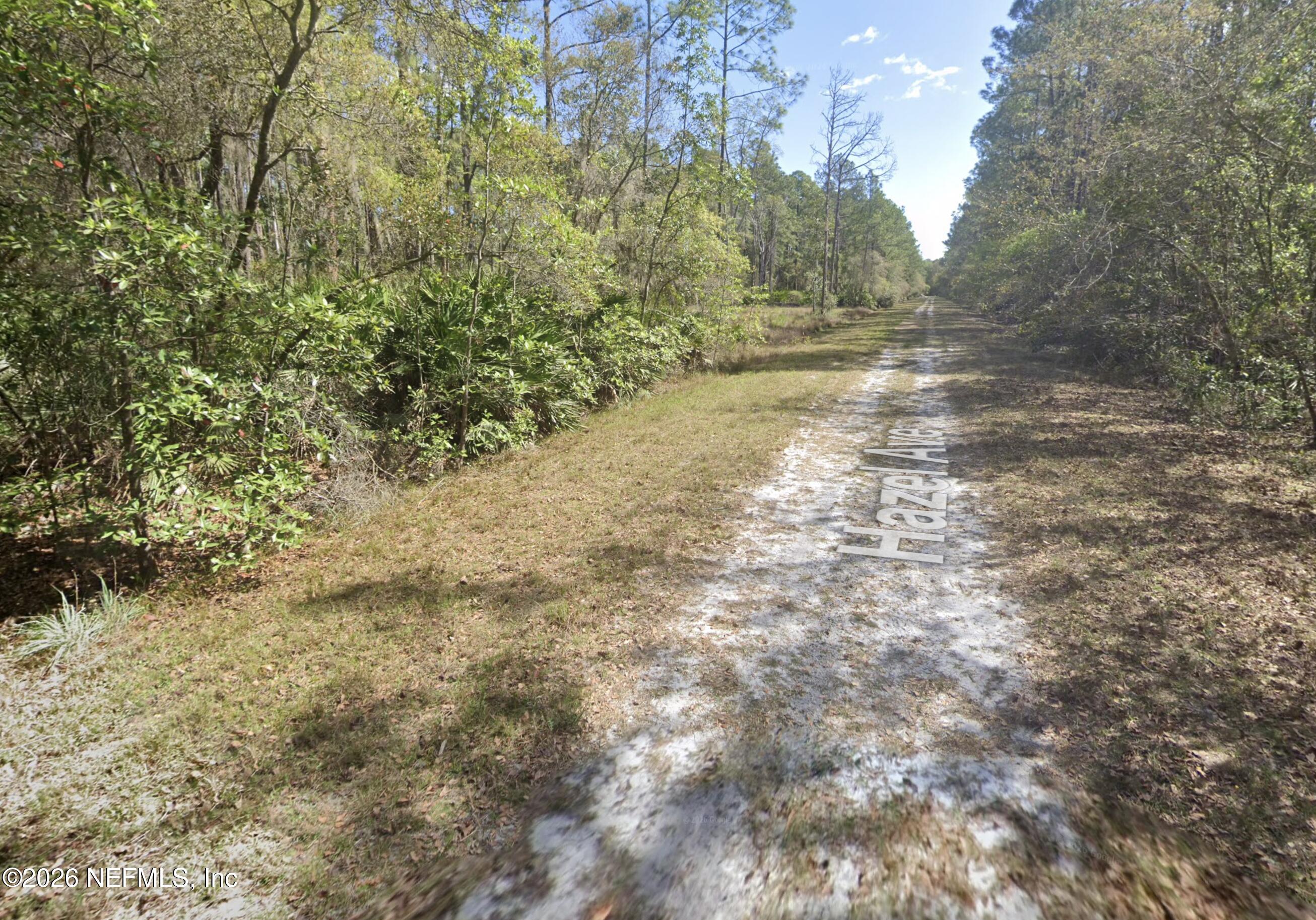 212 Hazel Avenue Georgetown, FL 32139 - Photo 3 of 3 a view of a yard with trees