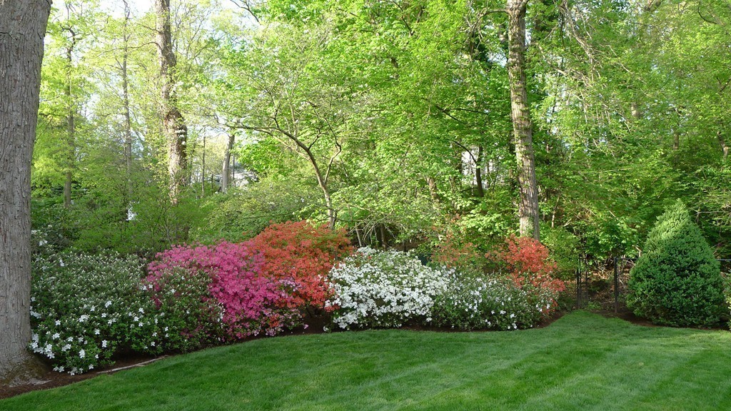 51 Old Colony Road Wellesley, MA 02481 - Photo 19 of 20