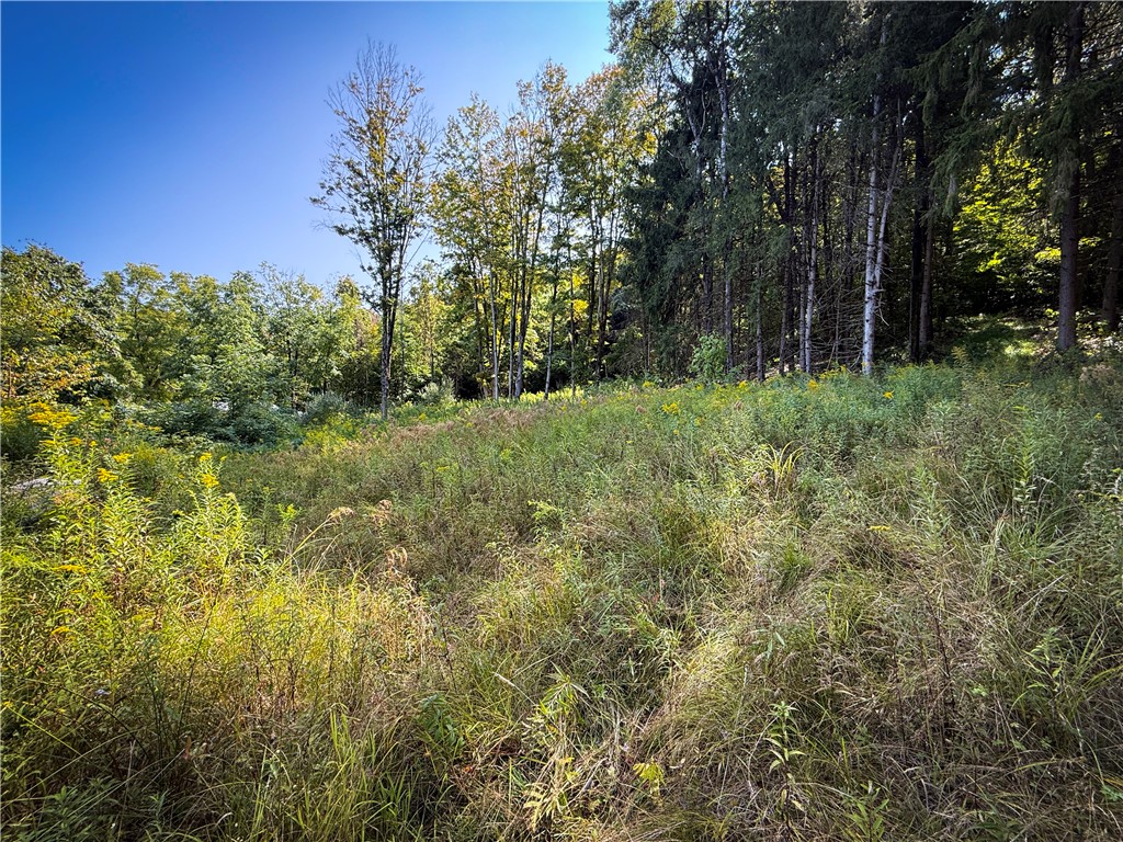 0 Worden Road Waverly, NY 14892 - Photo 7 of 42