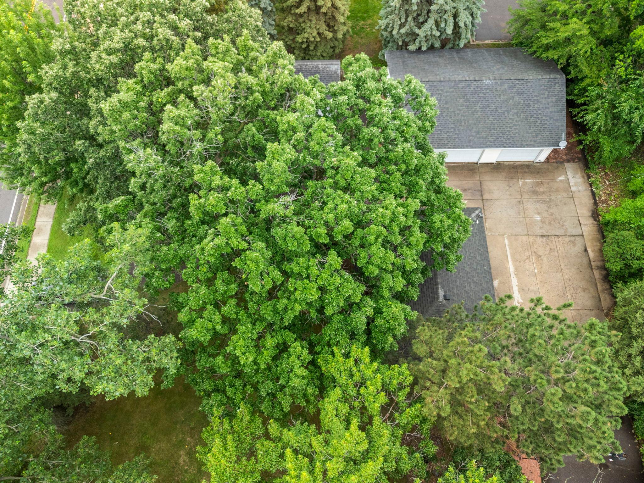 7701 Terrace Road Northeast Spring Lake Park, MN 55432 - Photo 81 of 86