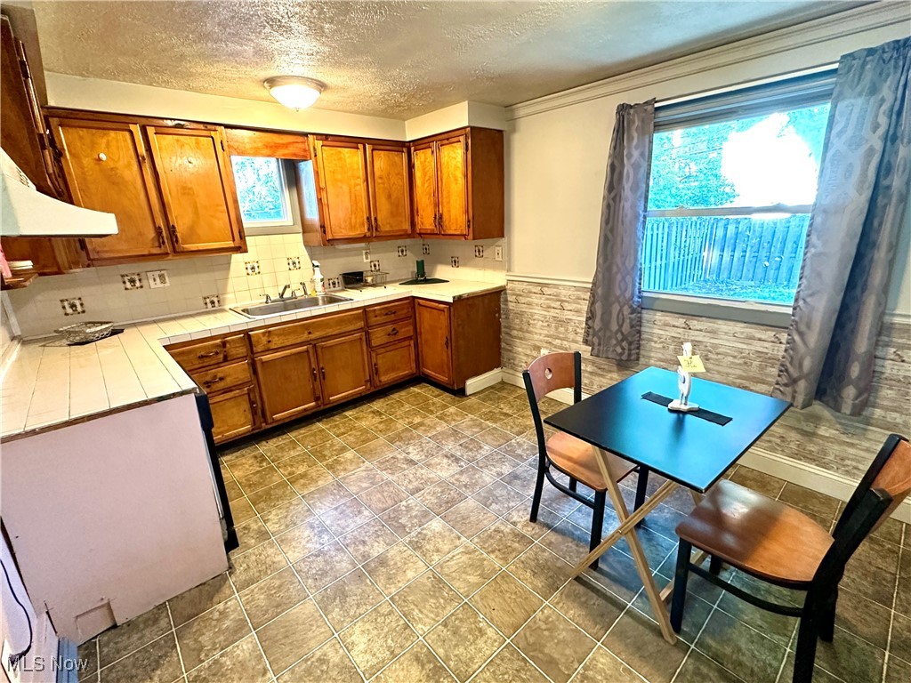 25550 Tungsten Road Euclid, OH 44132 - Photo 9 of 20 Gallery Image 9