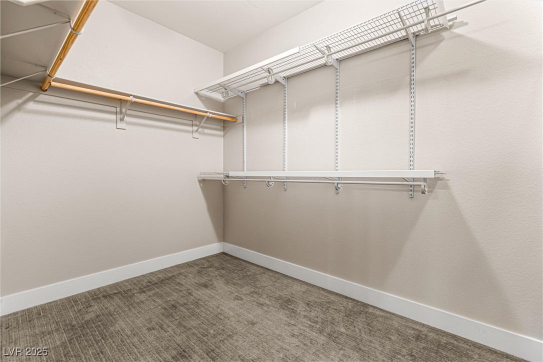 4631 Amazing View Street Las Vegas, NV 89129 - Photo 31 of 94 Walk in closet featuring light carpet
