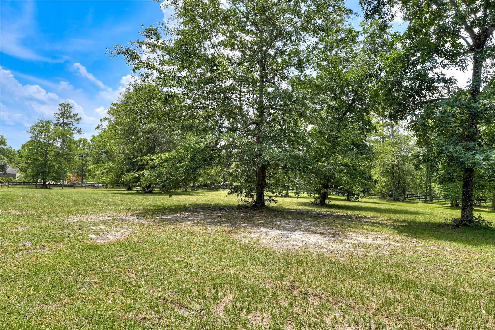 4820 Columbia Highway North Ridge Spring, SC 29129 - Photo 56 of 69