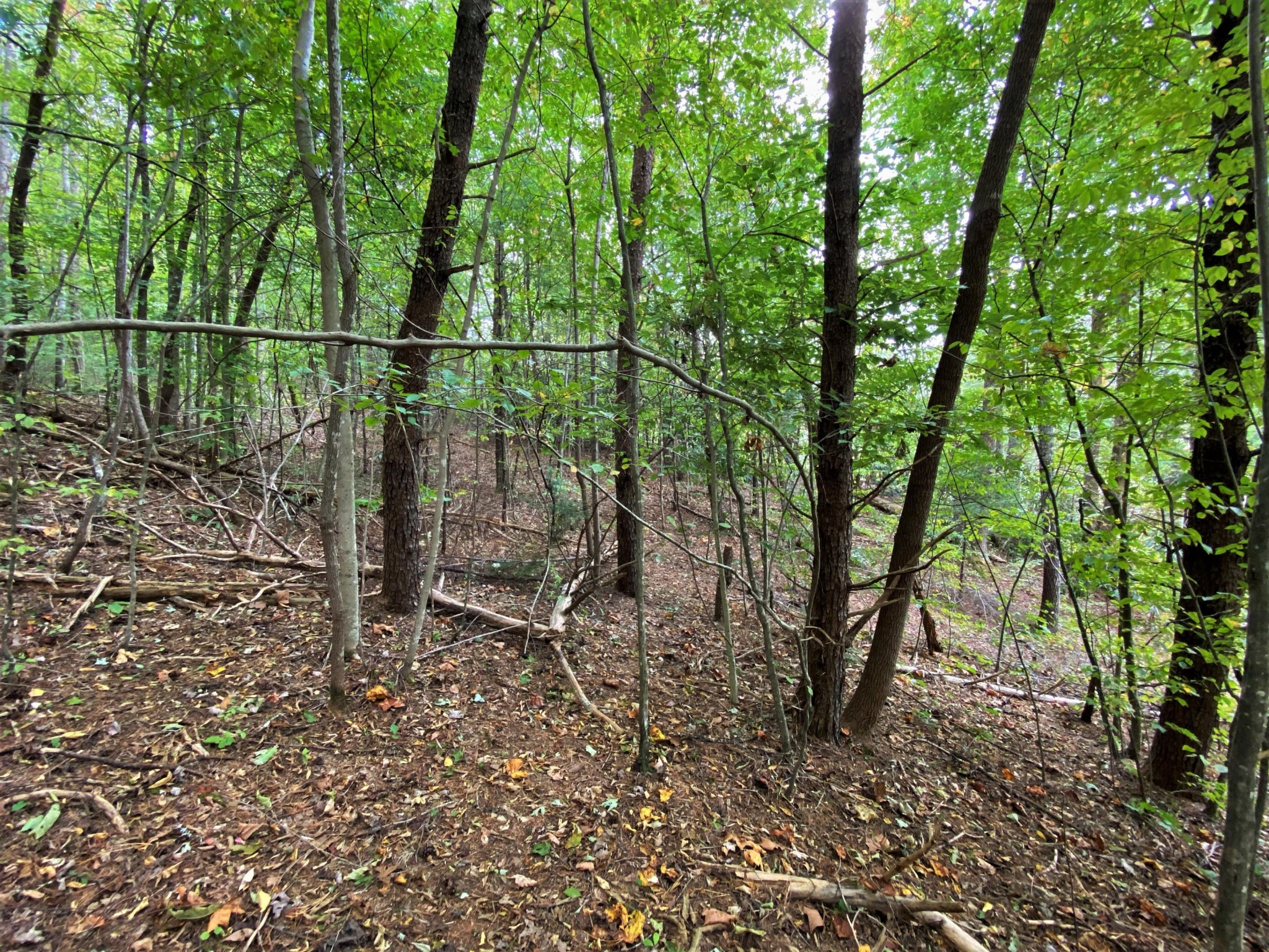 3552 Grassy Fork Road Hartford, TN 37753 - Photo 25 of 35