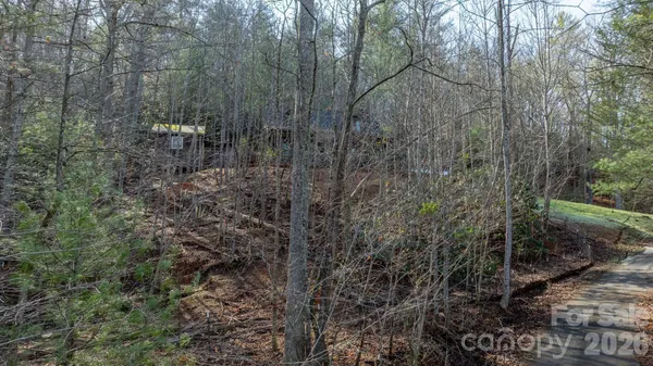 a view of a forest with trees in the background