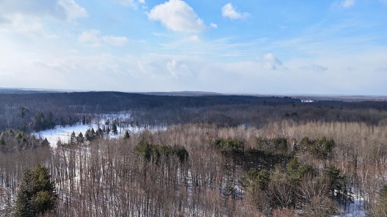6182 Hamilton Road Harrison, MI 48625 - Photo 4 of 56