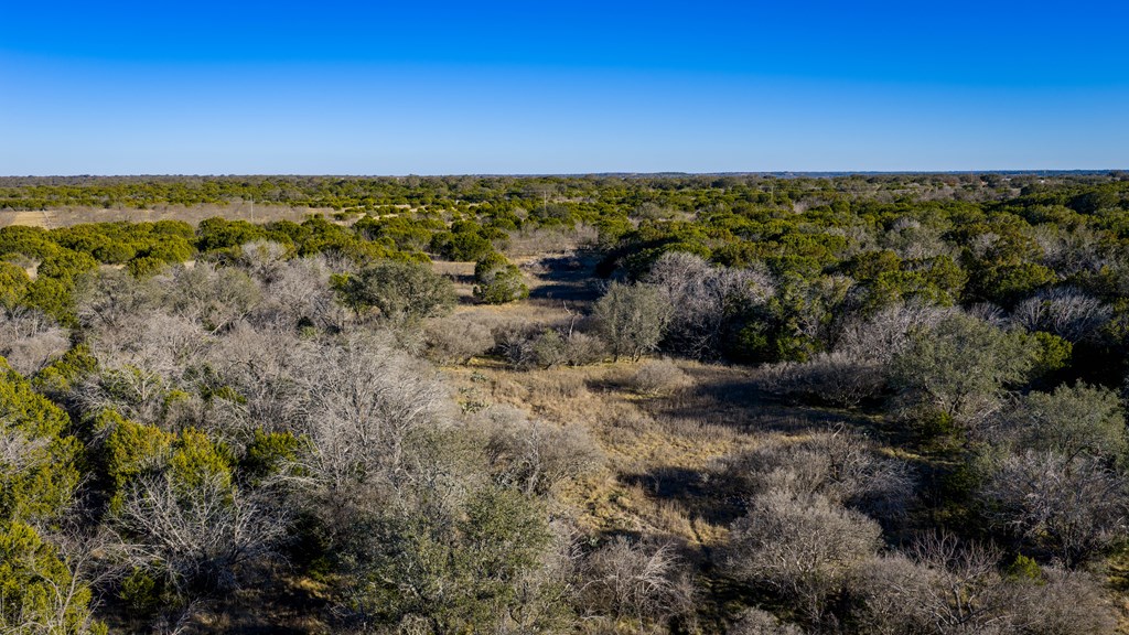 1774 Shafer Lane Hext, TX 76848 - Photo 38 of 82