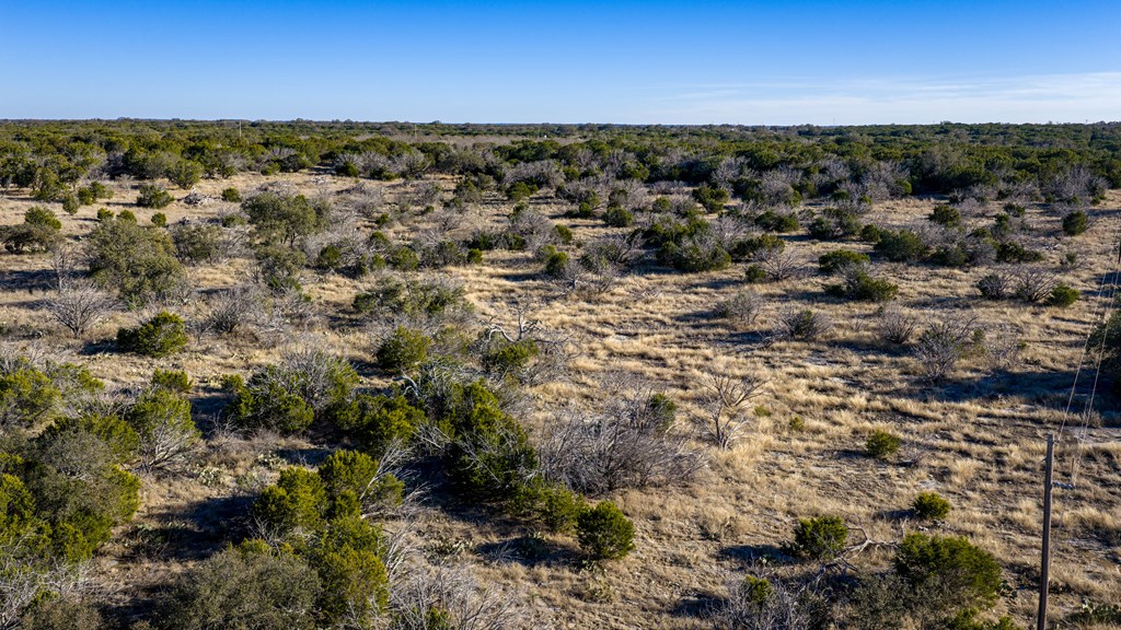 1774 Shafer Lane Hext, TX 76848 - Photo 39 of 82