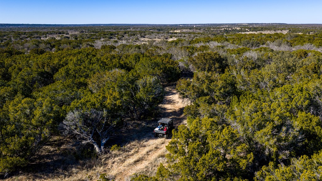 1774 Shafer Lane Hext, TX 76848 - Photo 4 of 82