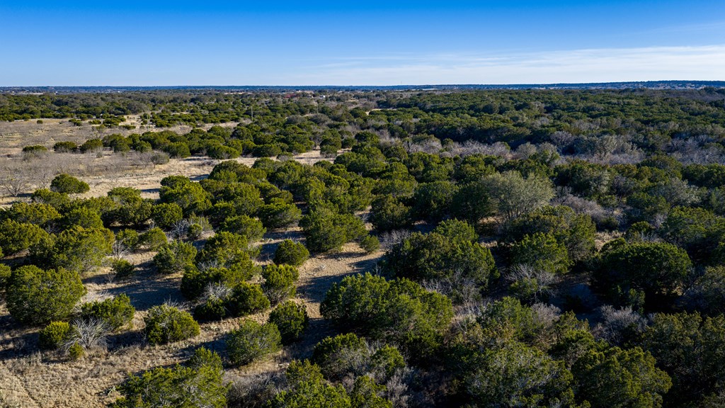 1774 Shafer Lane Hext, TX 76848 - Photo 42 of 82