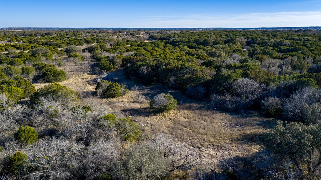 1774 Shafer Lane Hext, TX 76848 - Photo 44 of 82