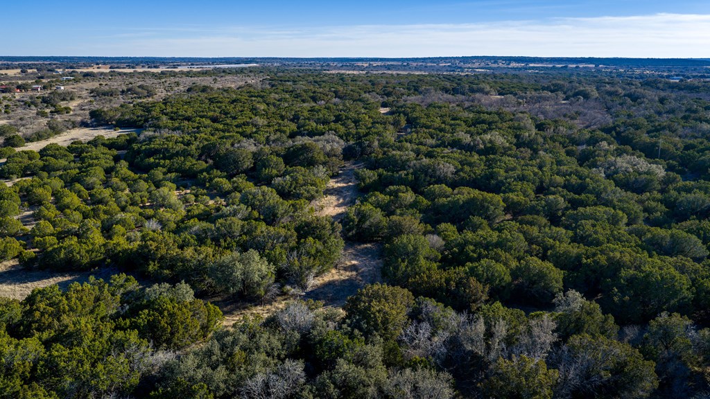 1774 Shafer Lane Hext, TX 76848 - Photo 45 of 82