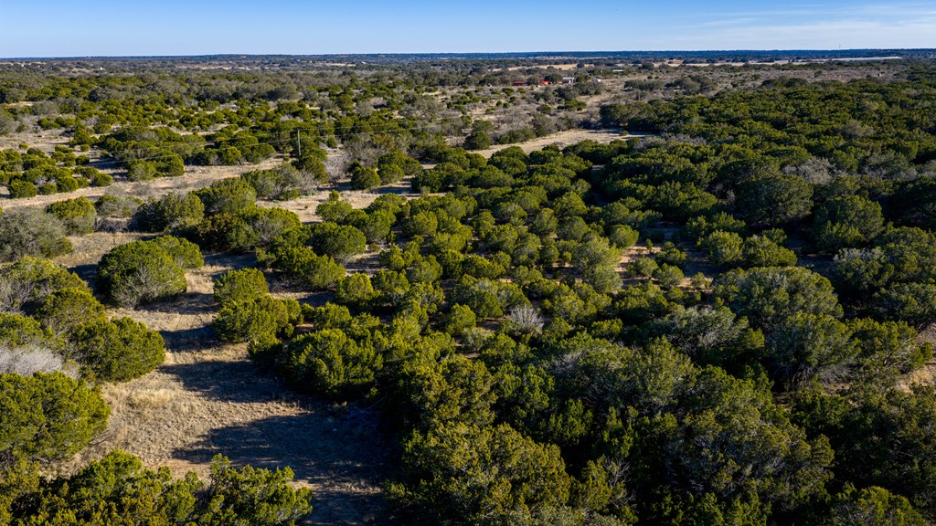 1774 Shafer Lane Hext, TX 76848 - Photo 46 of 82