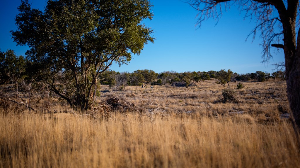 1774 Shafer Lane Hext, TX 76848 - Photo 55 of 82