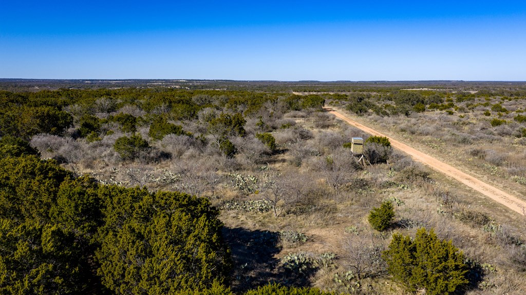 1774 Shafer Lane Hext, TX 76848 - Photo 6 of 82