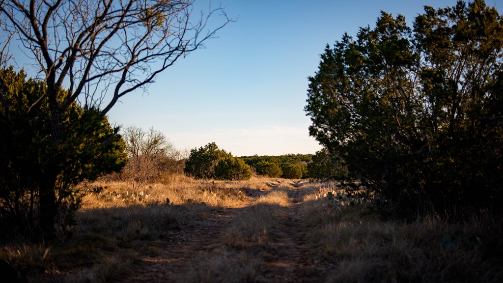 1774 Shafer Lane Hext, TX 76848 - Photo 67 of 82