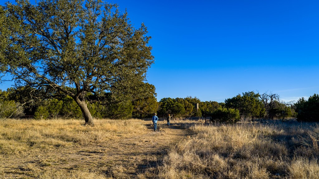 1774 Shafer Lane Hext, TX 76848 - Photo 71 of 82