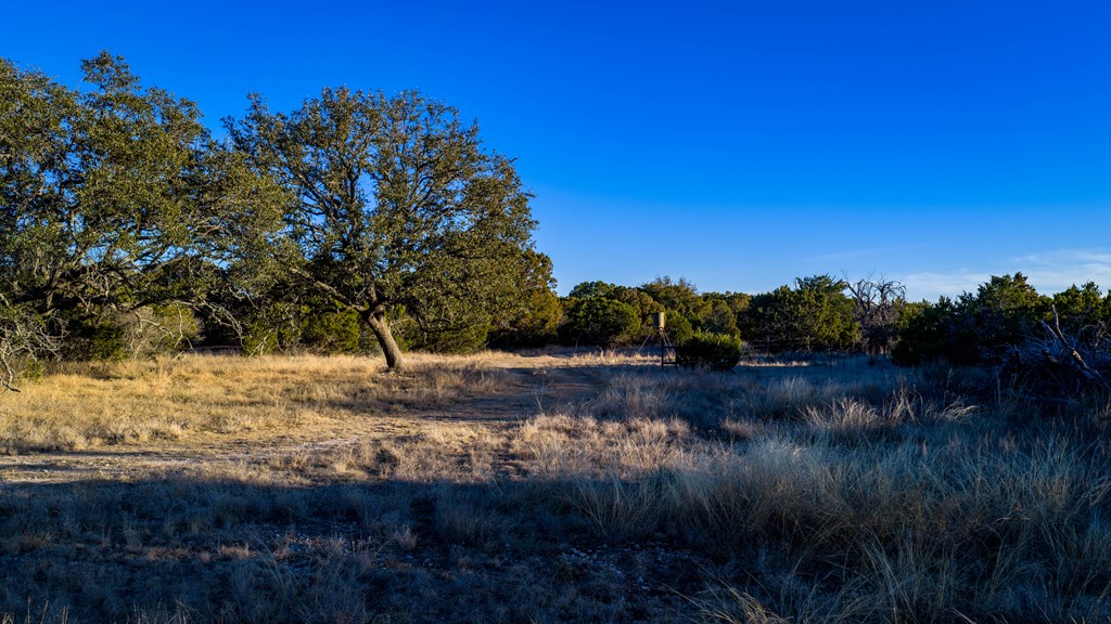 1774 Shafer Lane Hext, TX 76848 - Photo 75 of 82