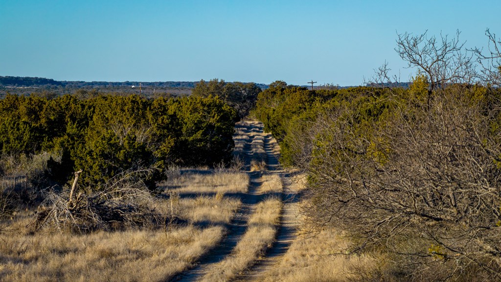 1774 Shafer Lane Hext, TX 76848 - Photo 78 of 82