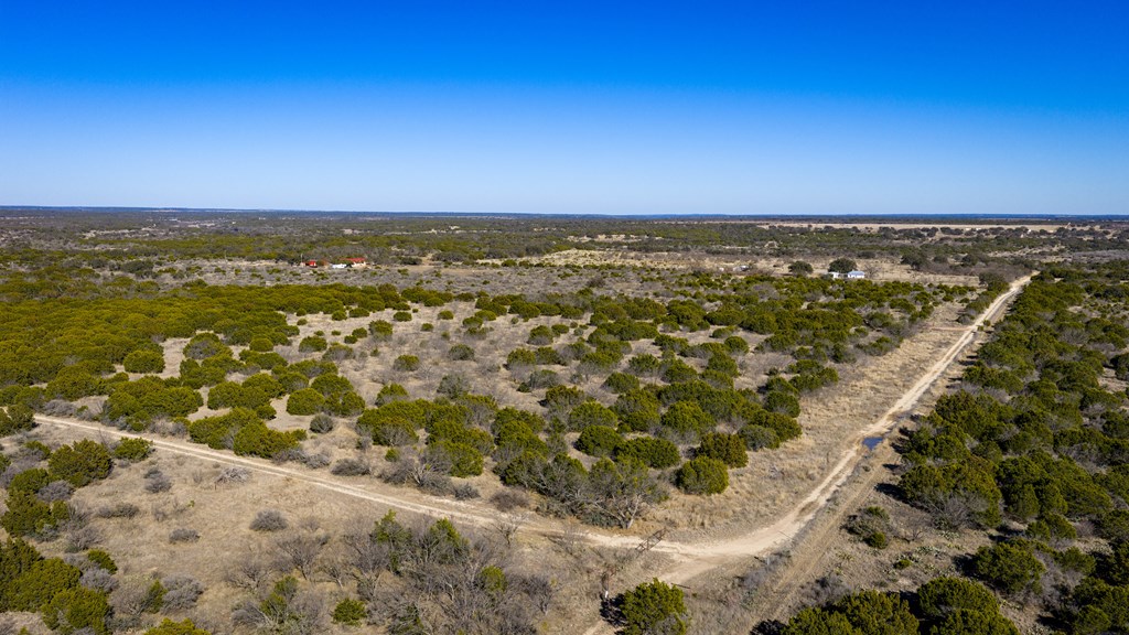 1774 Shafer Lane Hext, TX 76848 - Photo 8 of 82