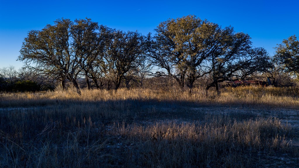 1774 Shafer Lane Hext, TX 76848 - Photo 81 of 82