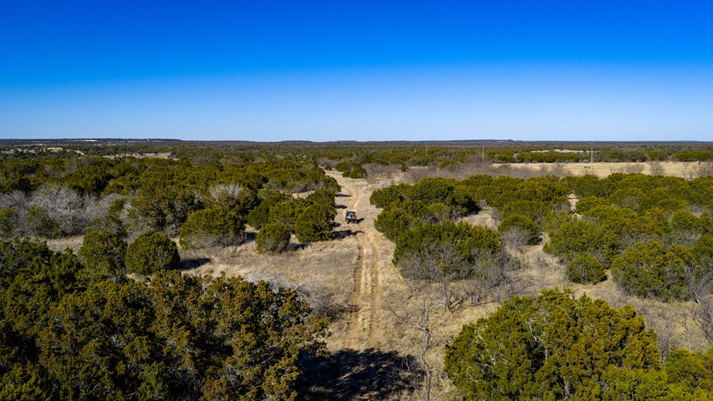 1774 Shafer Lane Hext, TX 76848 - Photo 9 of 82